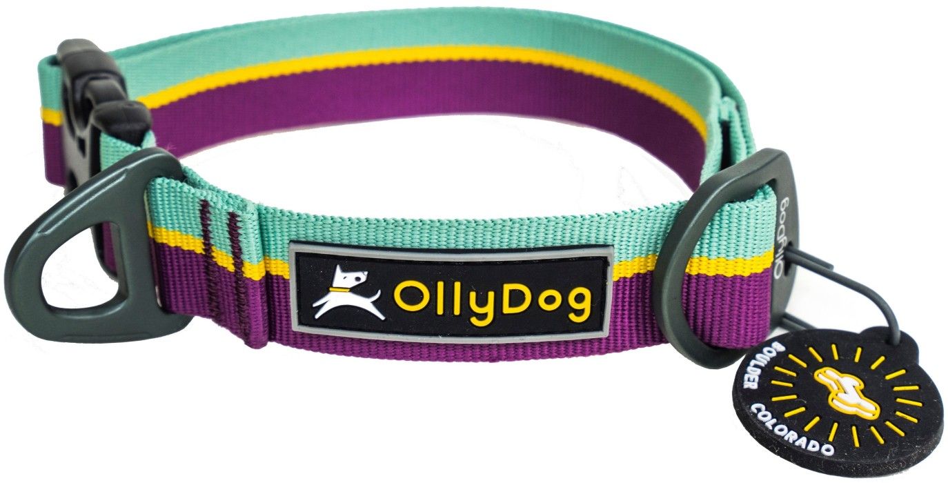 Flagstaff Collar Magenta