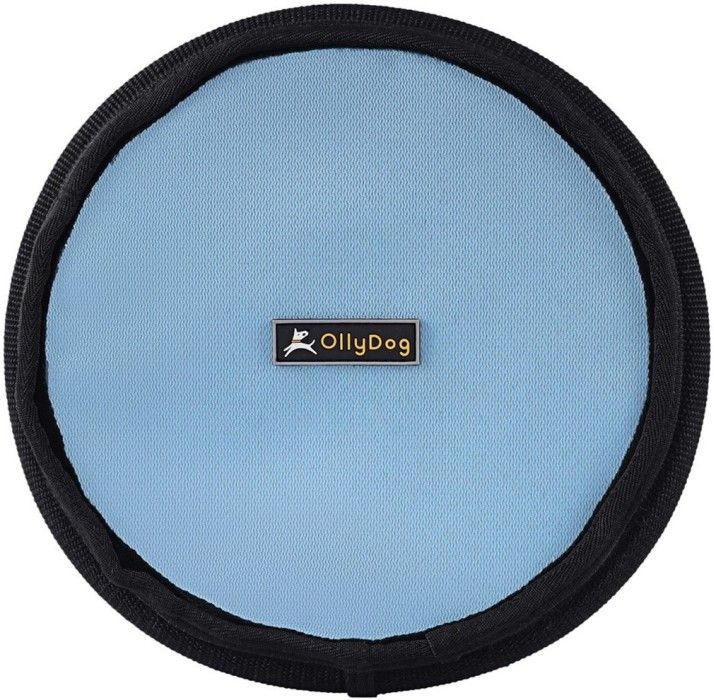 Flyer Disc Air Blue