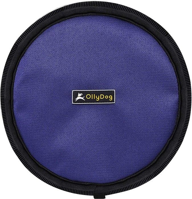 Flyer Disc Atlantic