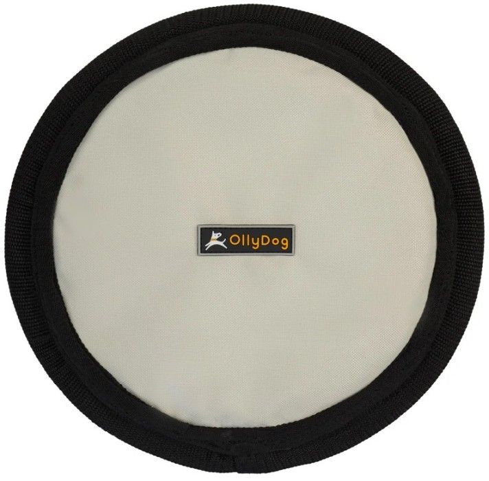 Flyer Disc Bluff
