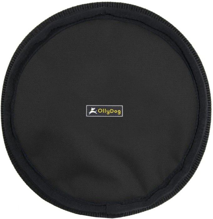 Flyer Disc Raven