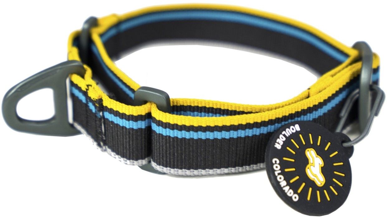Martingale Mesa Collar Anthracite