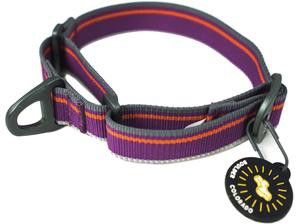 Martingale Mesa Collar Wild Aster