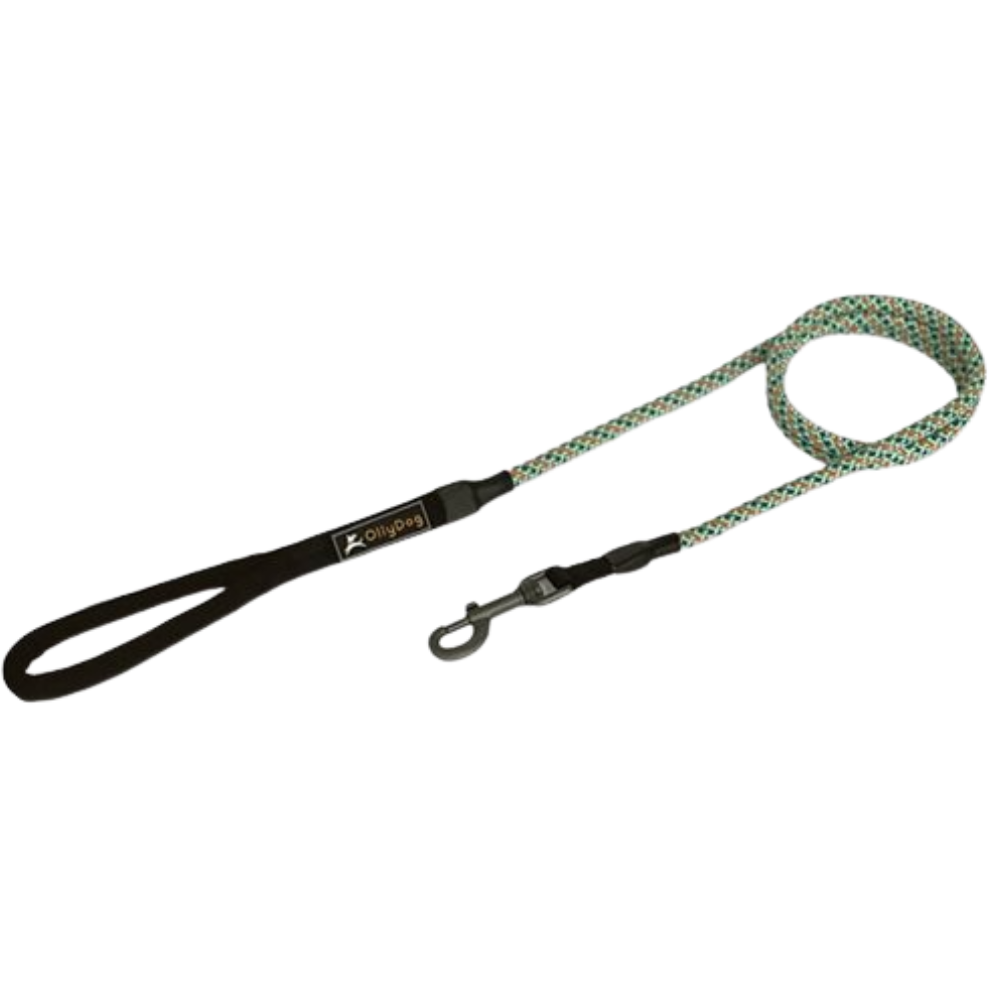 Mountain Leash Surf
