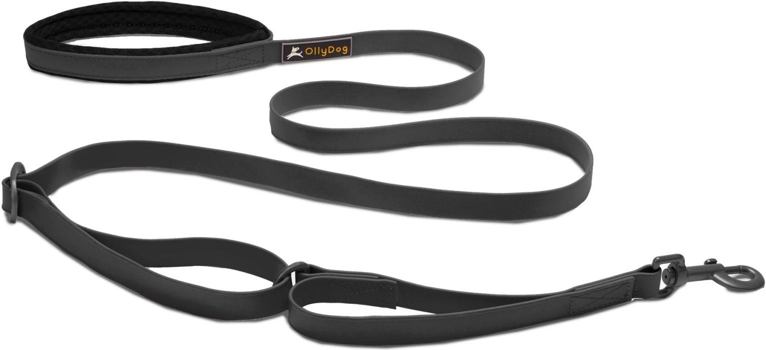 Tilden Leash Black