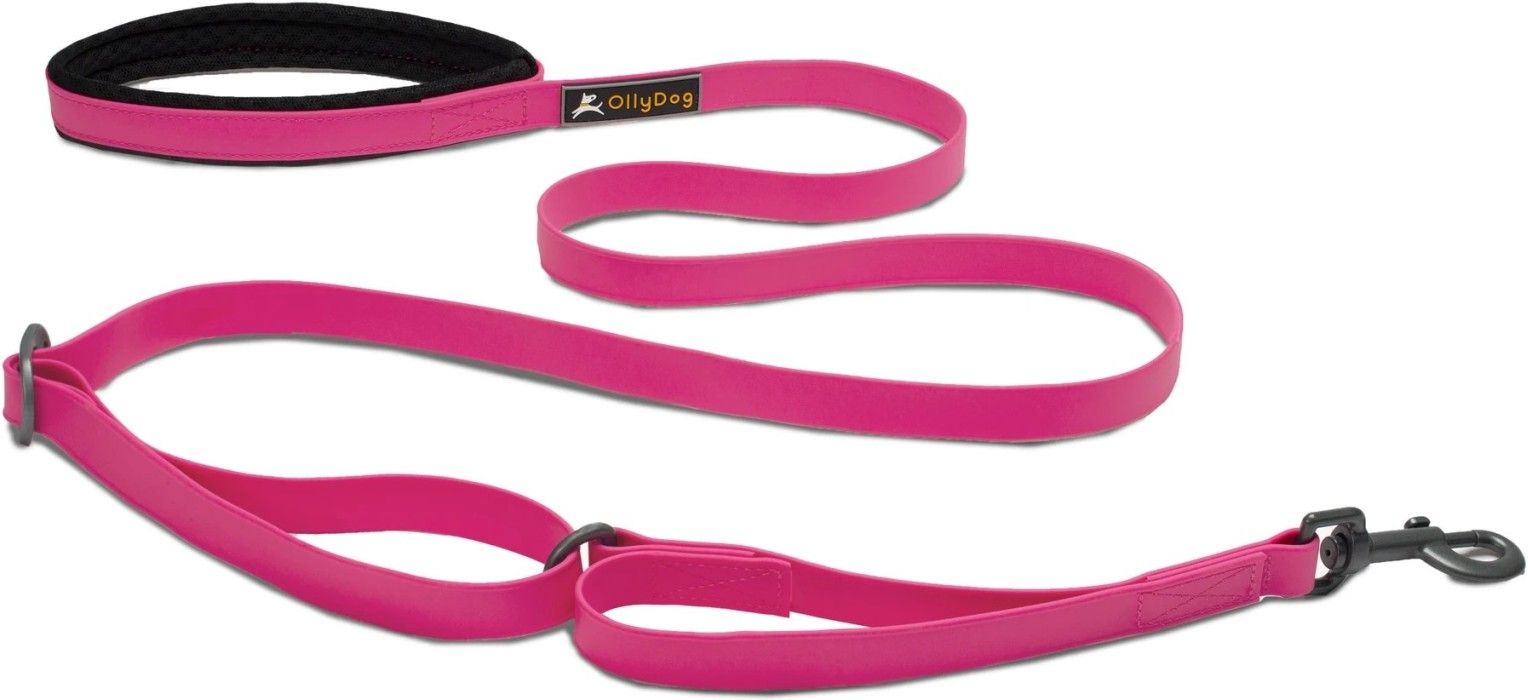 Tilden Leash Pink