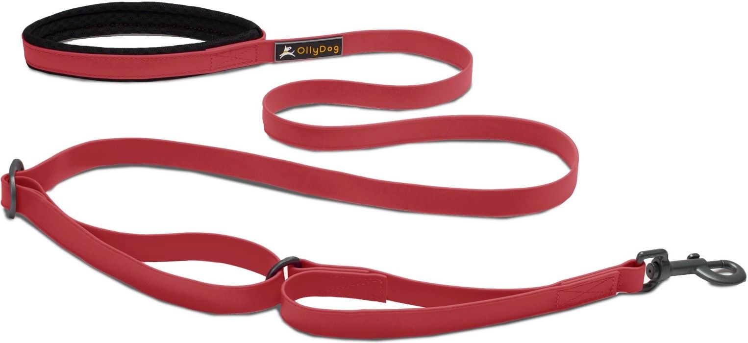 Tilden Leash Red