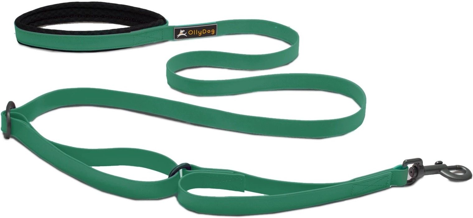 Tilden Leash Teal