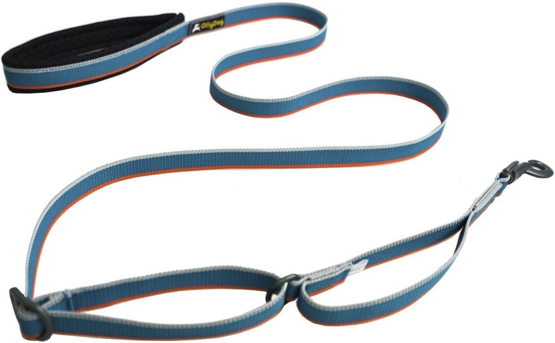 Urban Trail Adjustable Leash Air Blue
