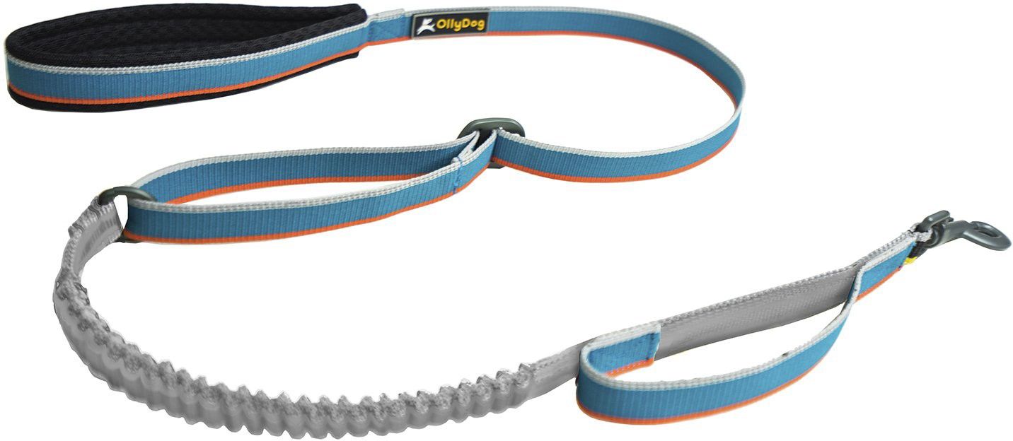 Urban Trail Adjustable Spring Leash Air Blue