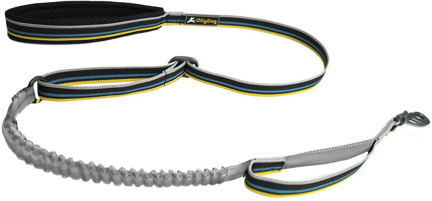 Urban Trail Adjustable Spring Leash Anthracite