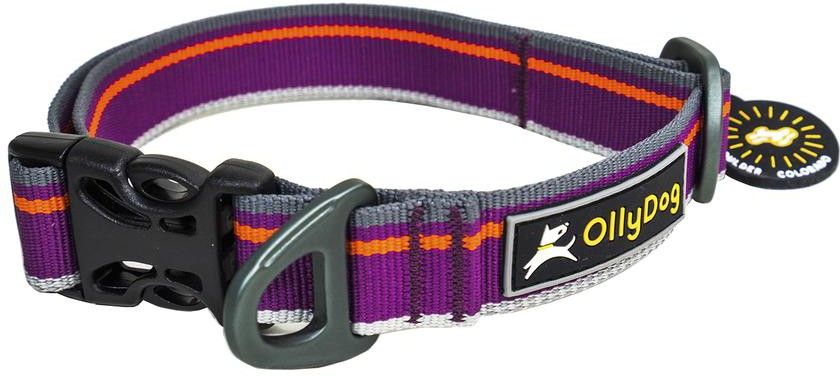 Urban Trail Reflective Collar Wild Aster