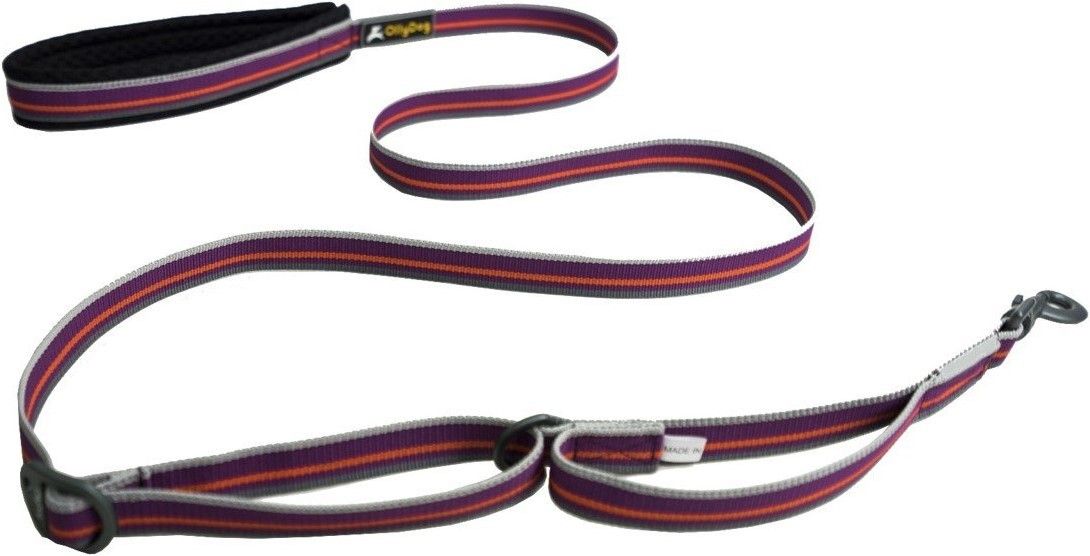 Urban Trall Adjustable Leash WildAster