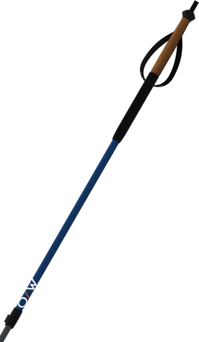 BC Vario