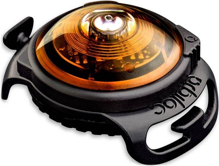 Amber Dual
