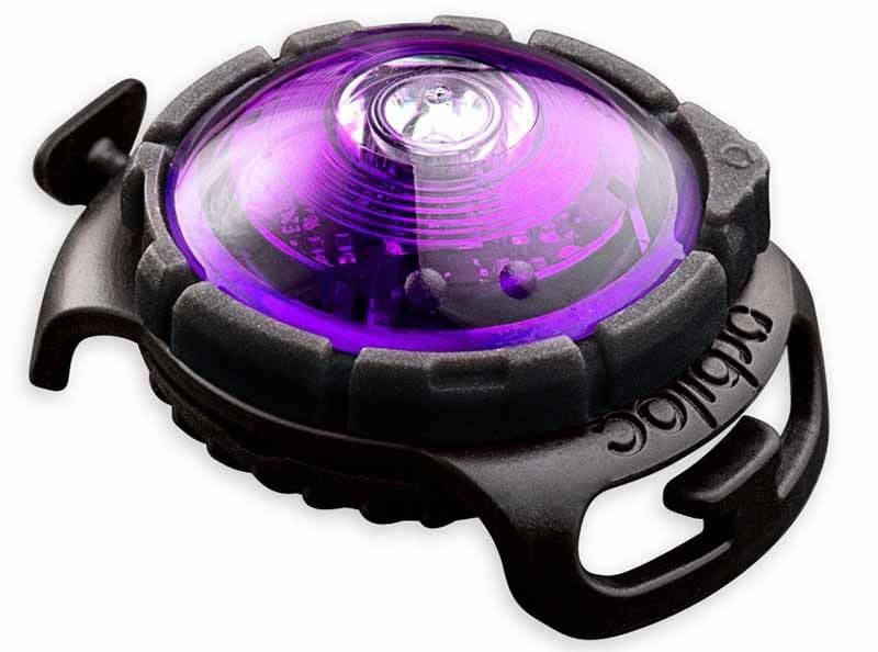 Lila Dual