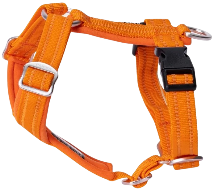 Easy Harness S-L Orange