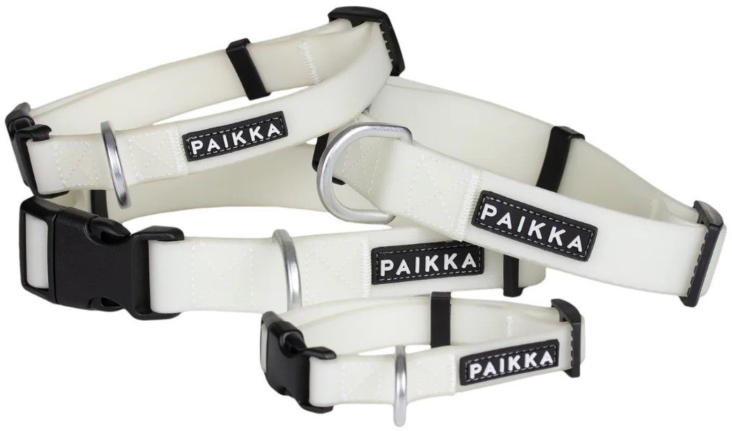 Glow Collar 2