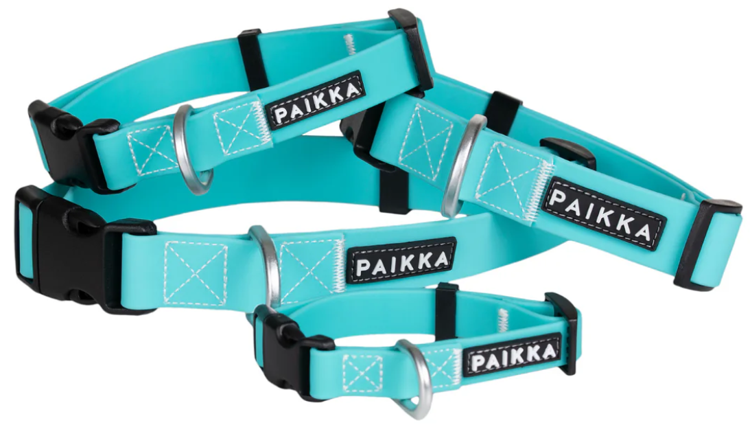 Glow Collar 2 x 30-40 cm Aqua