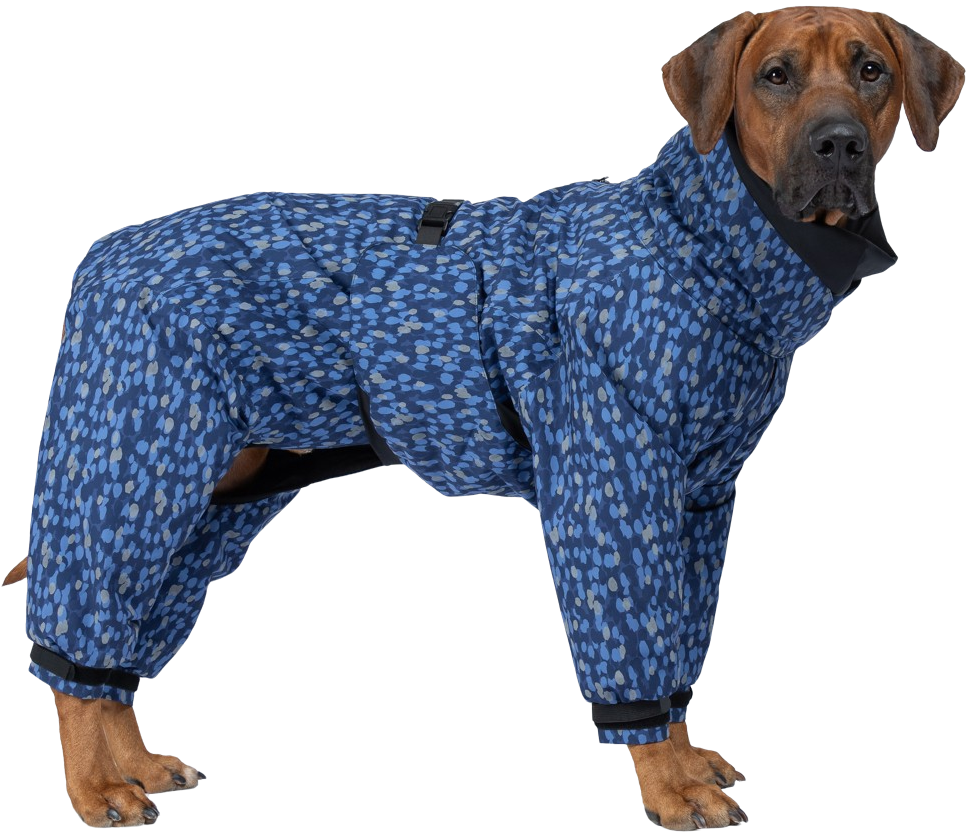 Paikka Winter Suit Blue
