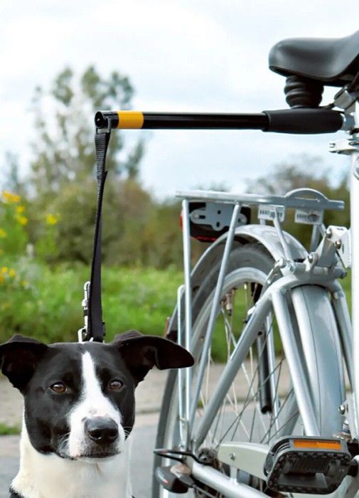 Hands Free Doggy Bike Exerciser Leash