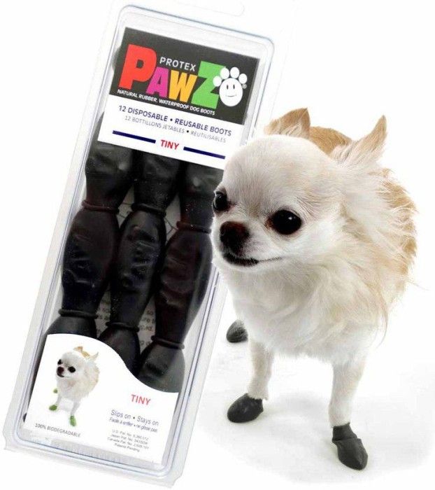 Dog Boots Black Tiny