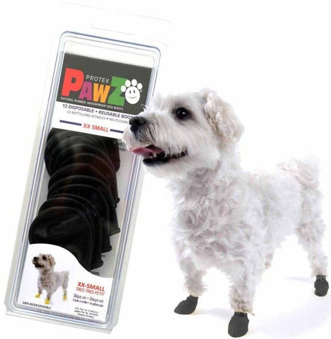 Dog Boots Black XXS