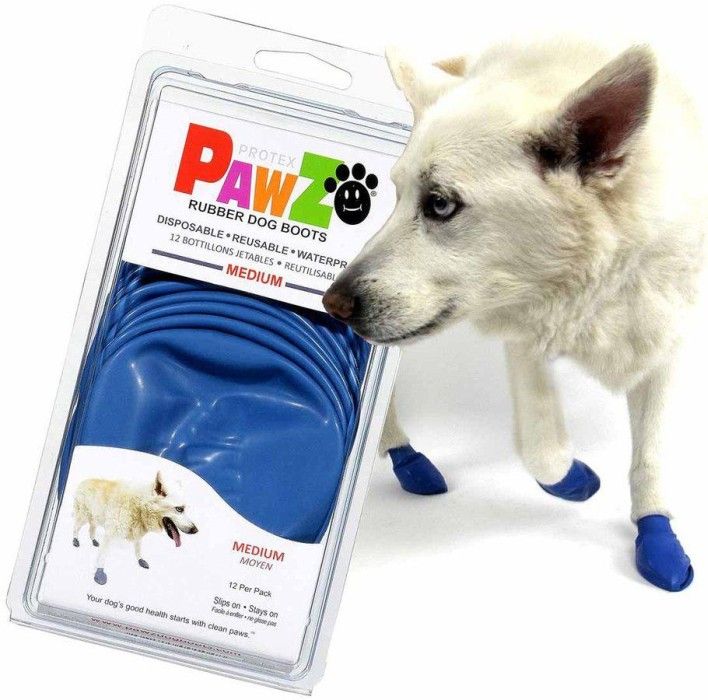Dog Boots Color Blue M