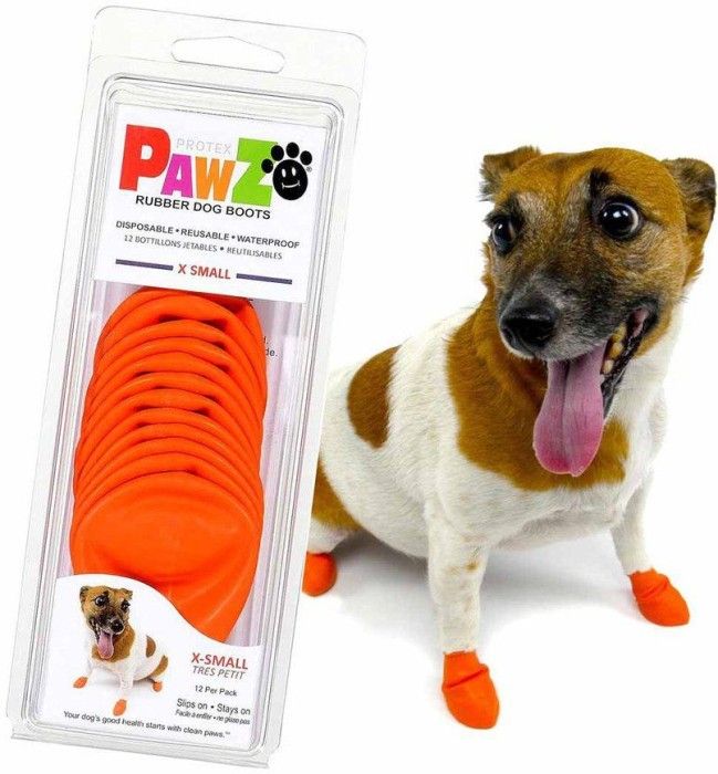 Dog Boots Color Orange XS