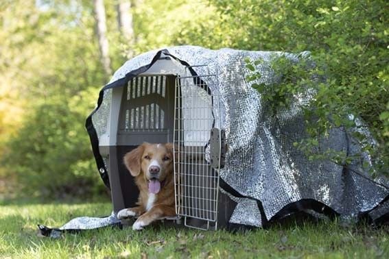 Silverduk PetNation 21 X 18 M