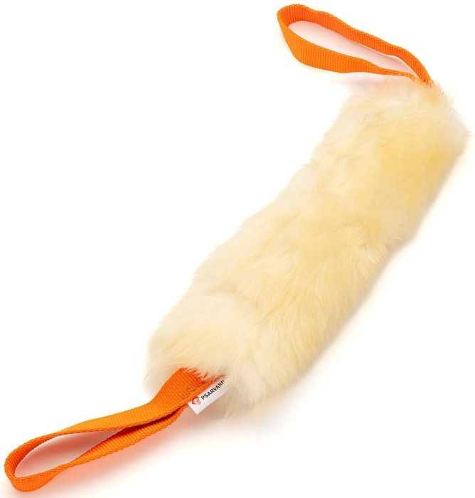 Brumba oransje kampleke