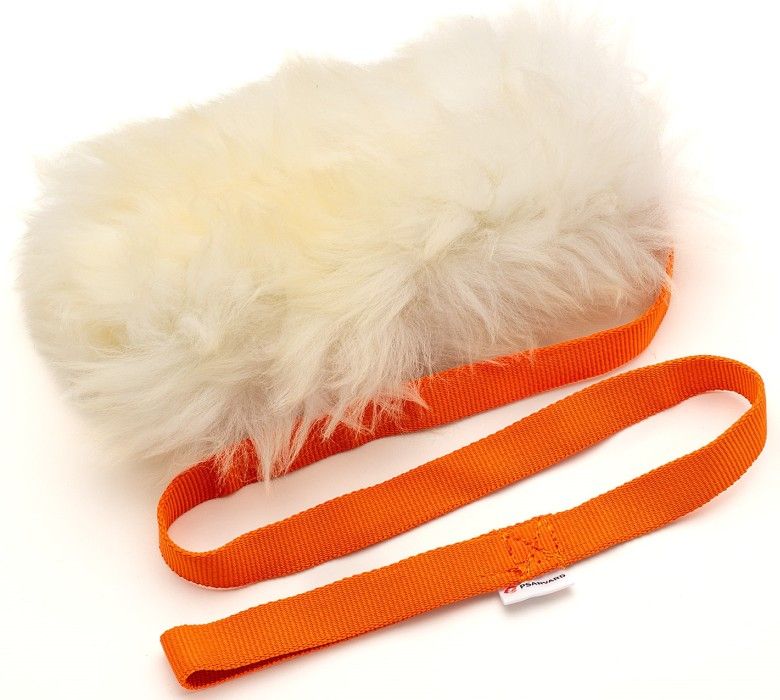 Moni lang oransje kampleke