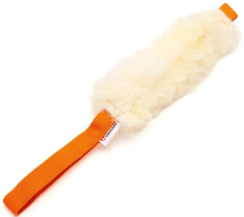 Tika oransje kampleke