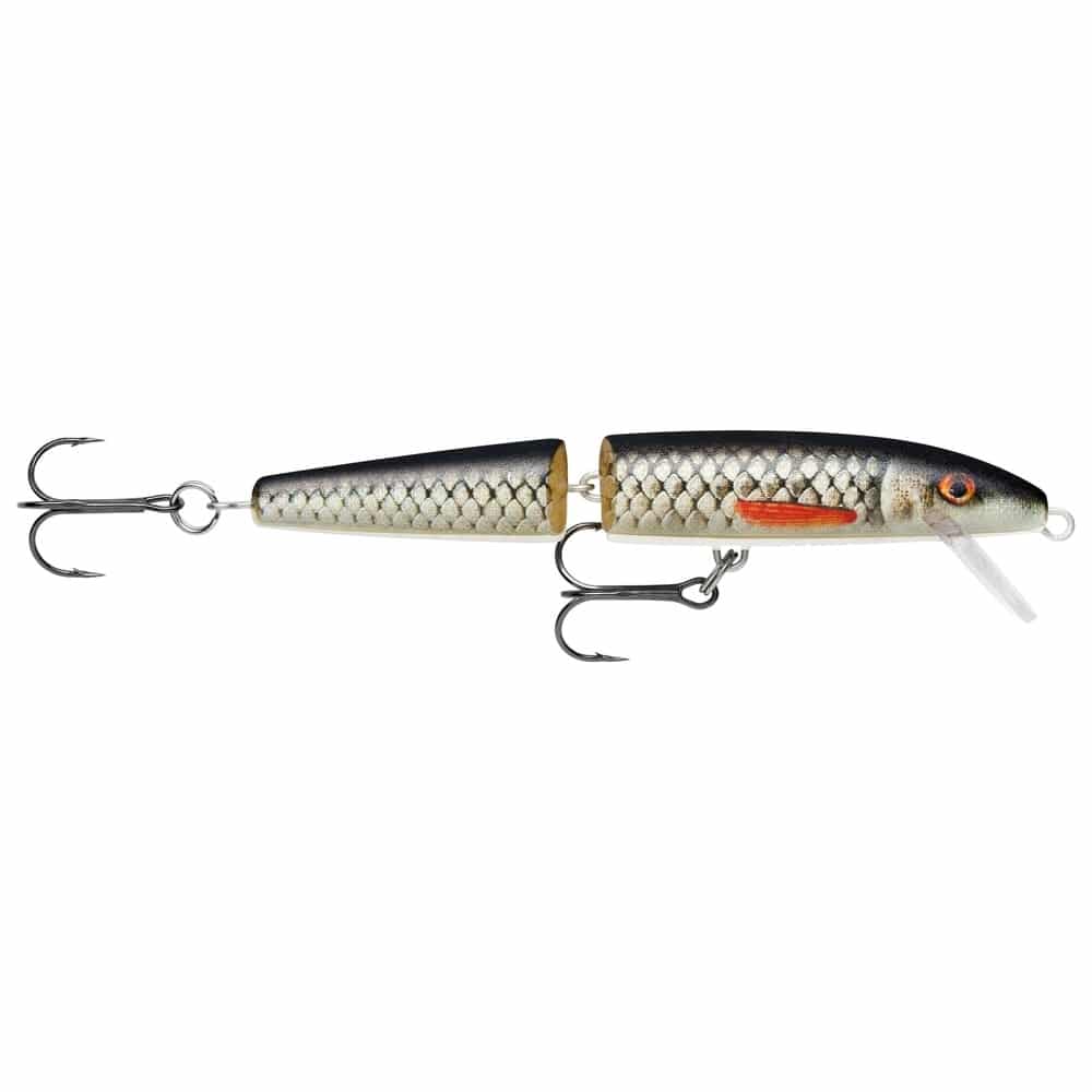 Rapala Jointed Floating 13cm - Live Roach