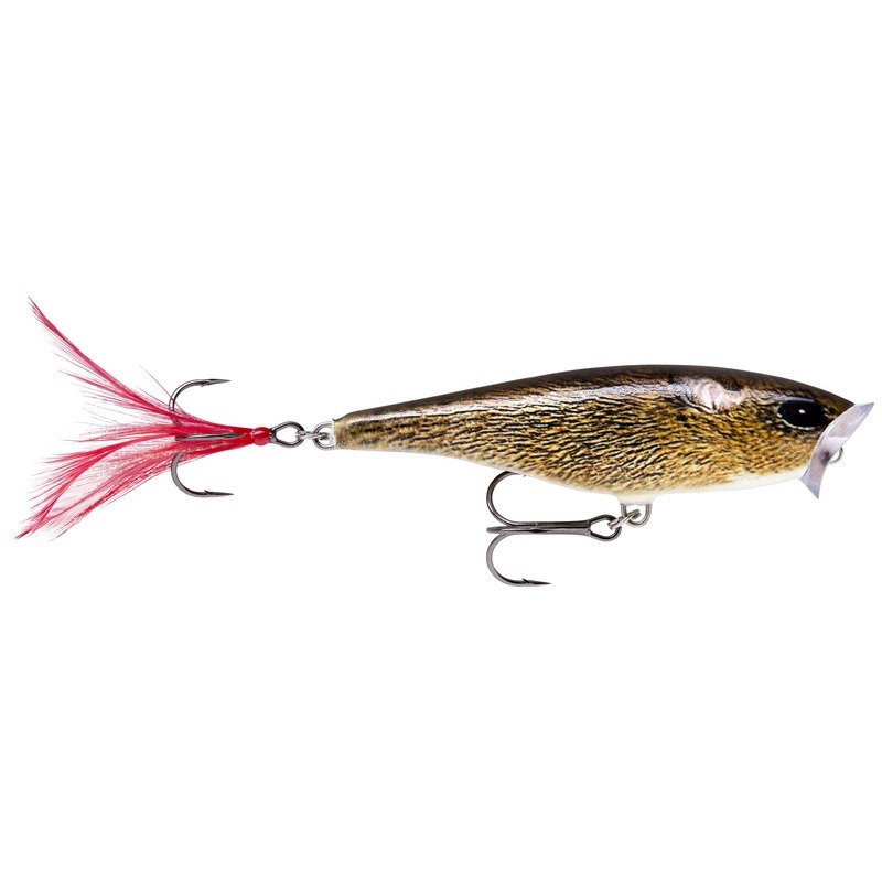 Rapala Skitter Pop 7cm - FML