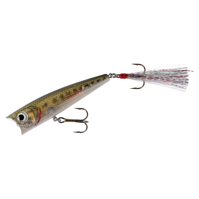 Rebel Super Pop-R Baby Bass 8