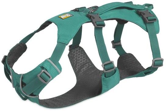 Flagline Harness Meltwater Teal