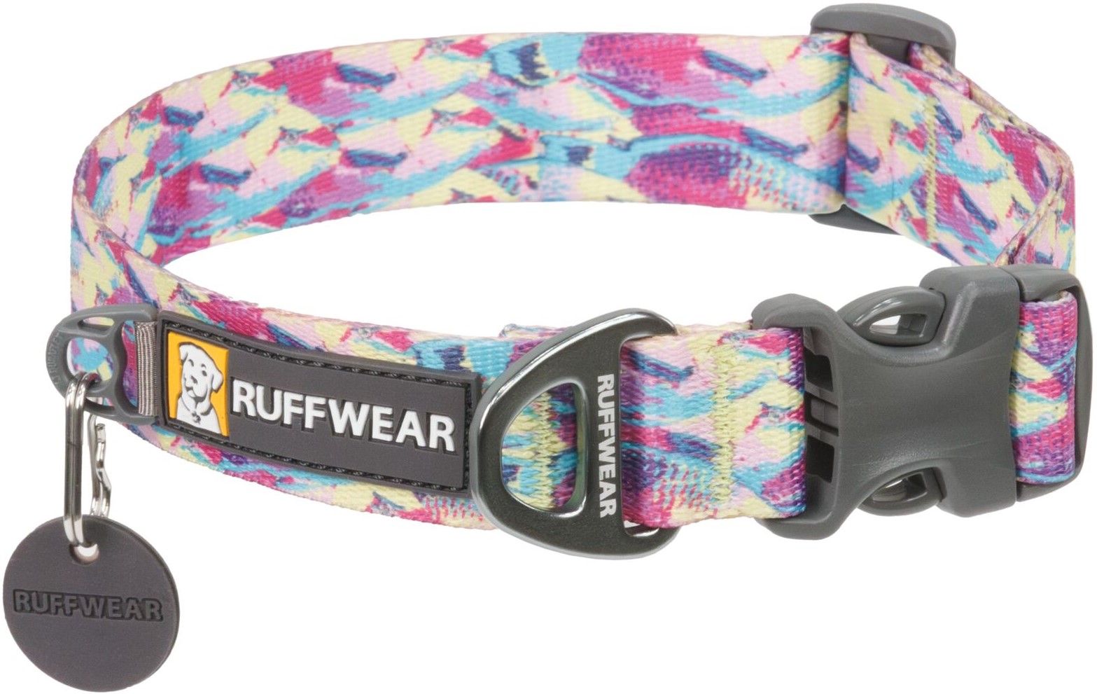 Front Range Collar Reef Fish