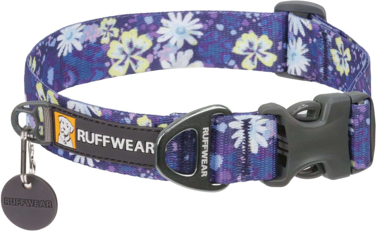 Front Range Collar Wildflower