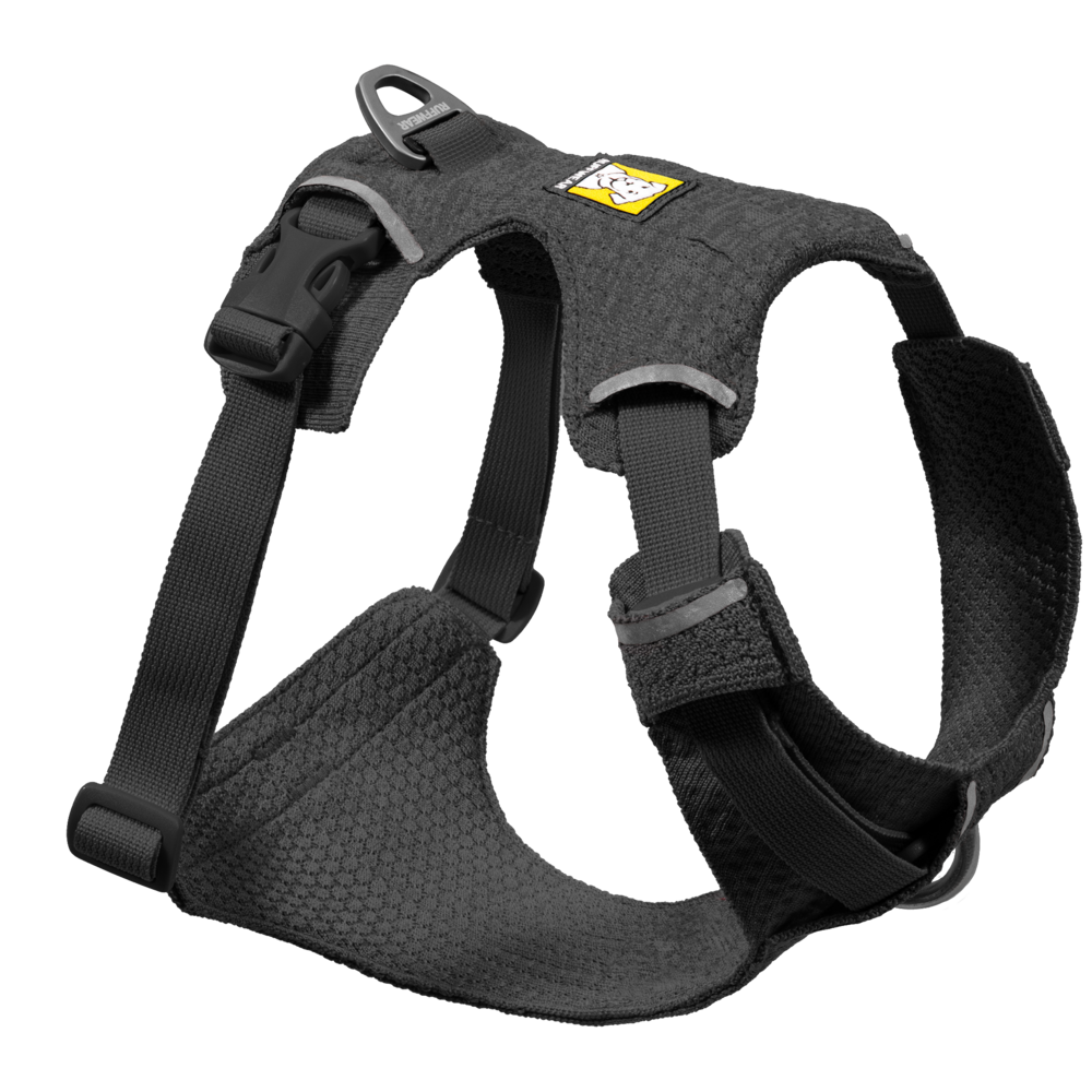 Front Range® Flex Harness L Basalt Gray