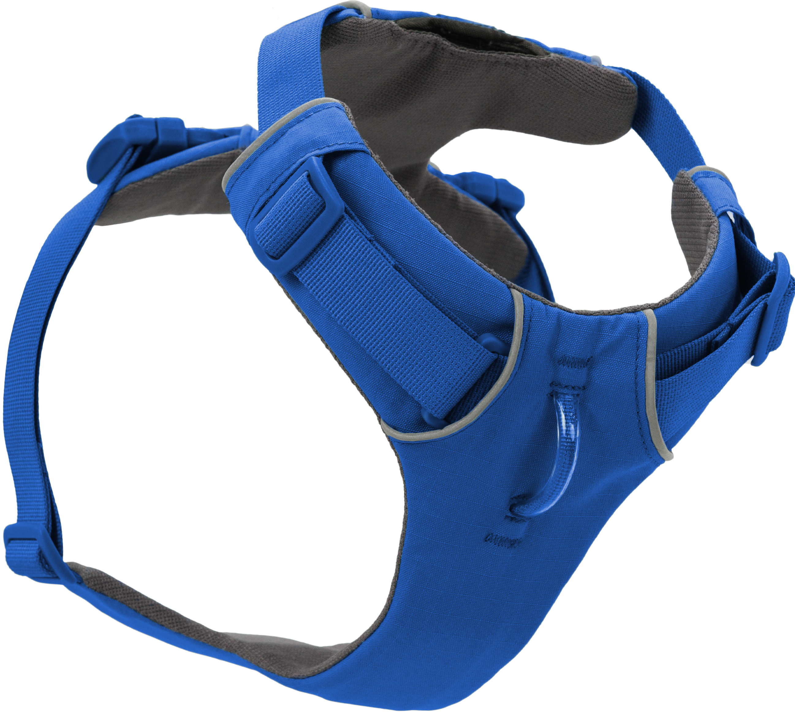 Front Range Harness Blue Pool