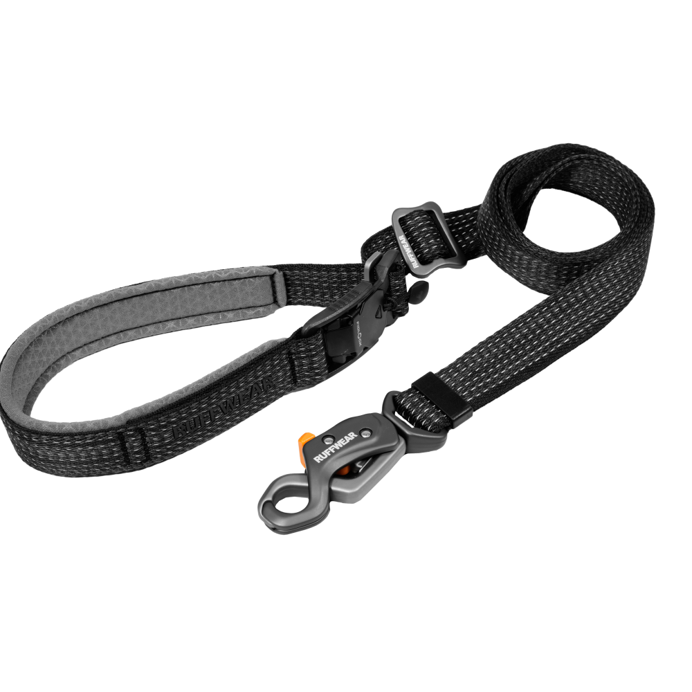 Ridgeline™ Leash Obsidian Black