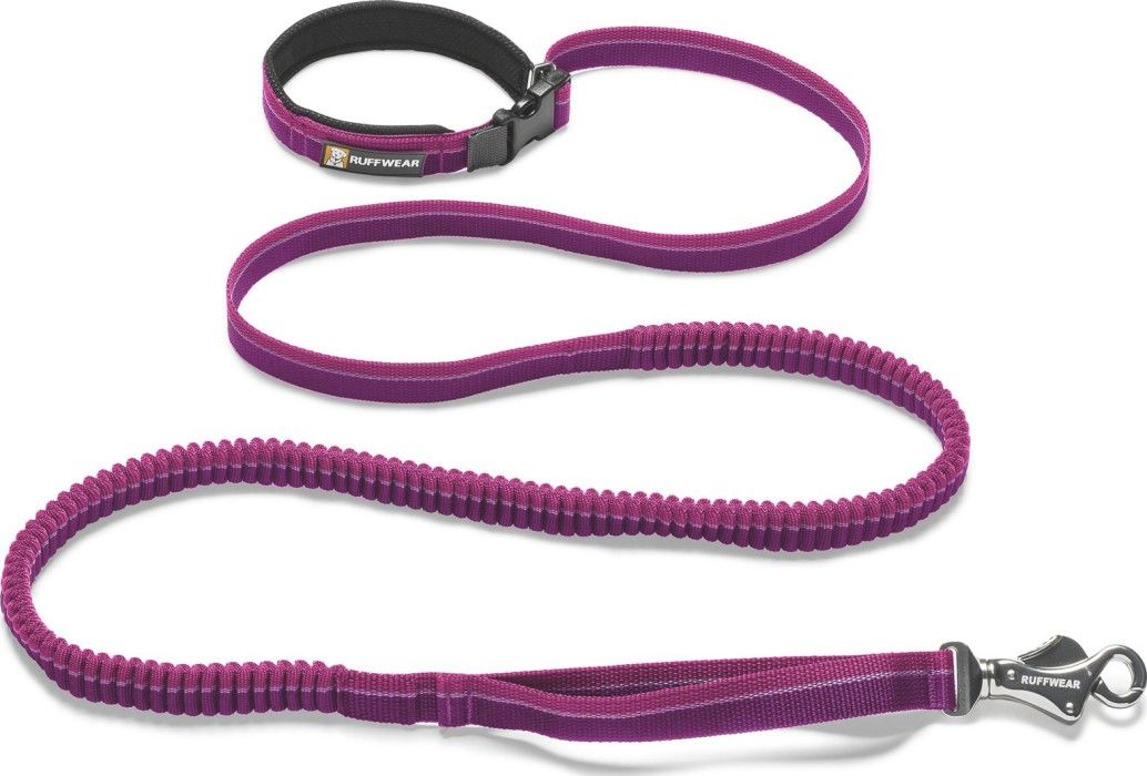Roamer Leash Purple Dusk