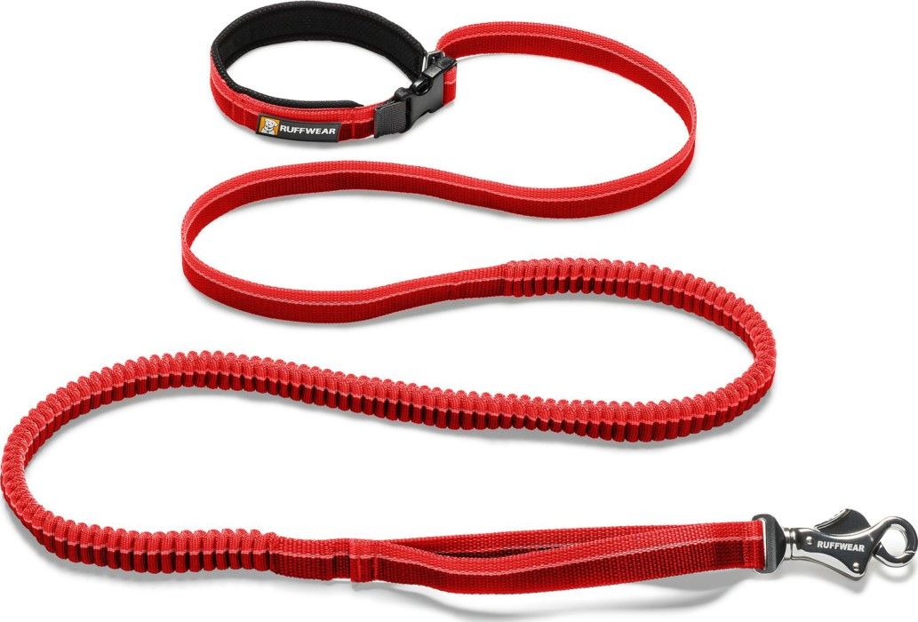 Roamer Leash Red Currant