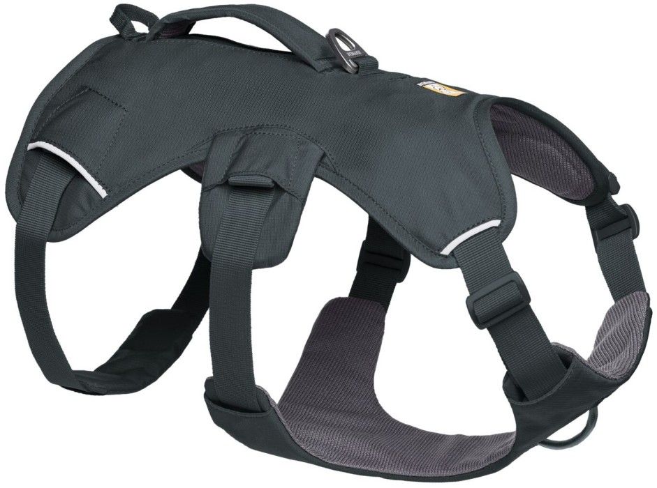 Web Master Harness Basalt Gray