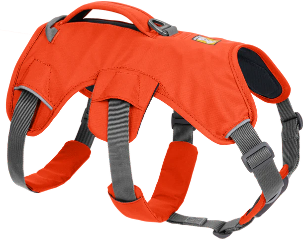 Web Master Harness Blaze Orange