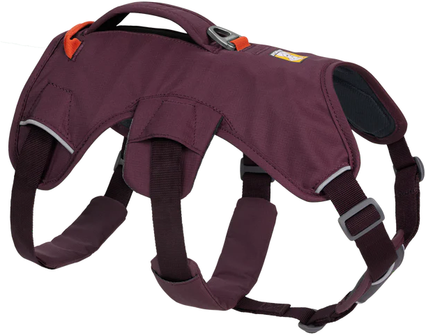 Web Master Harness Purple Rain