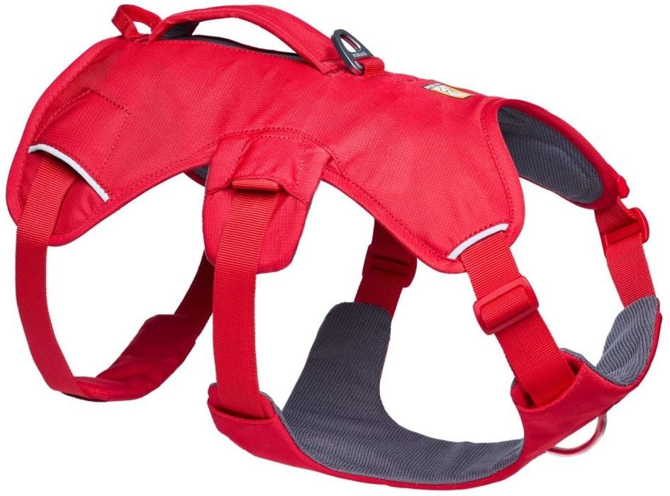 Web Master Harness Red Canyon