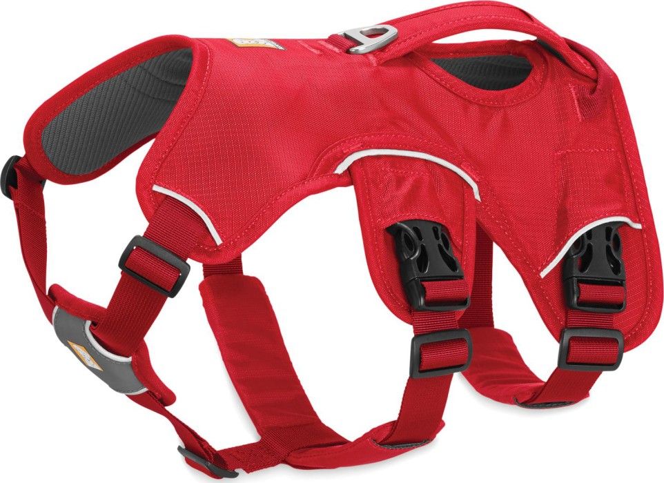 Web Master Harness Red Currant