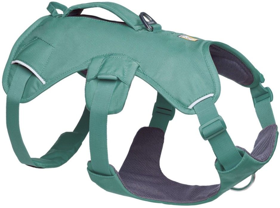 Web Master Harness River Rock Green